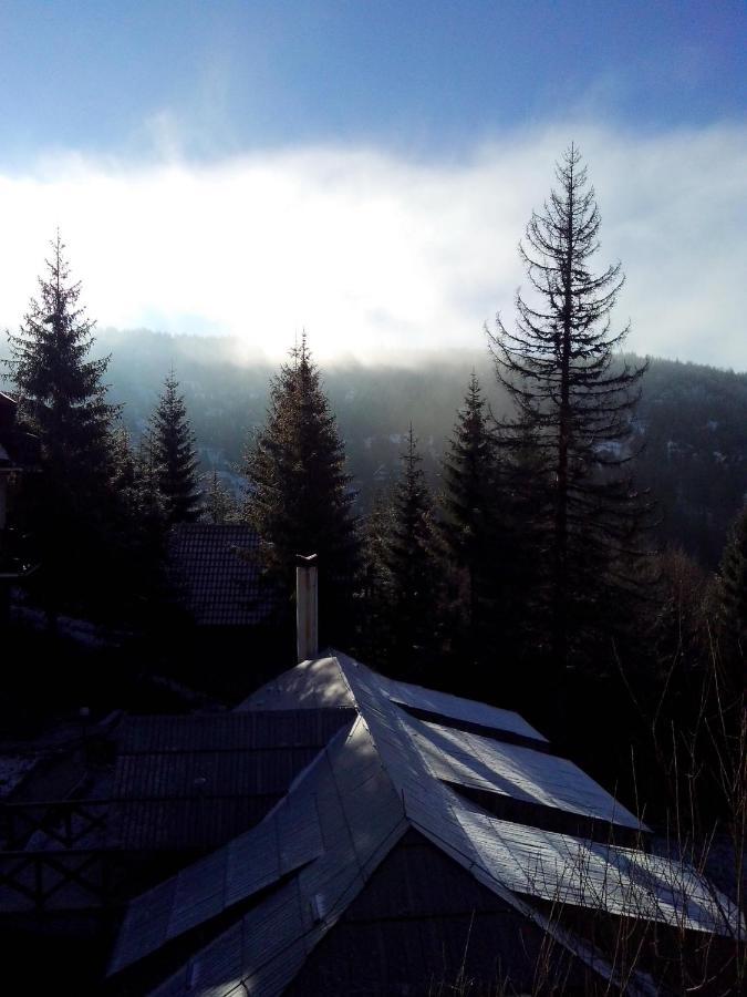 Apartments Dviletov Kutak Kopaonik Esterno foto