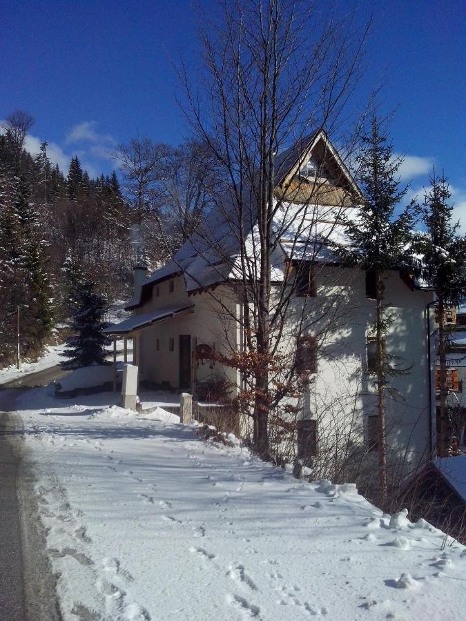 Apartments Dviletov Kutak Kopaonik Esterno foto