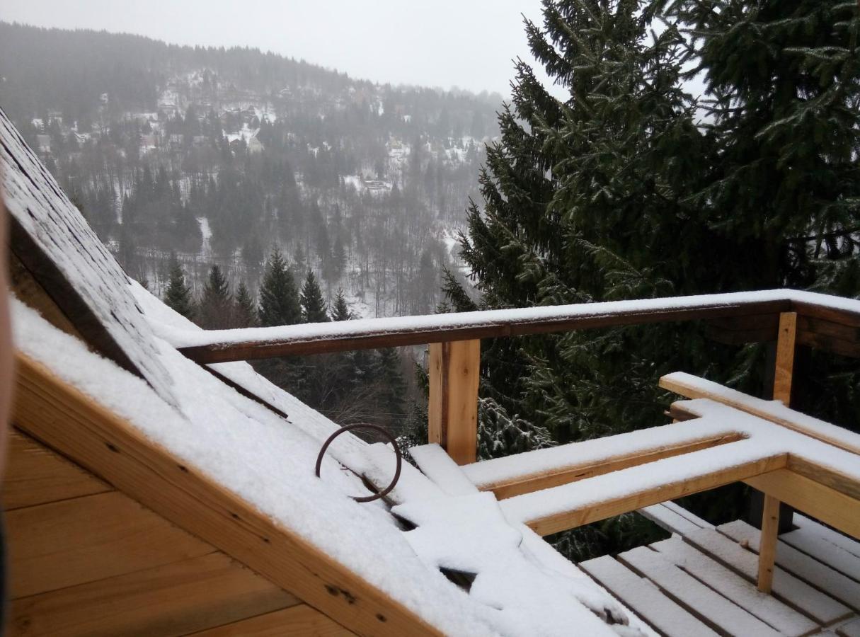 Apartments Dviletov Kutak Kopaonik Esterno foto